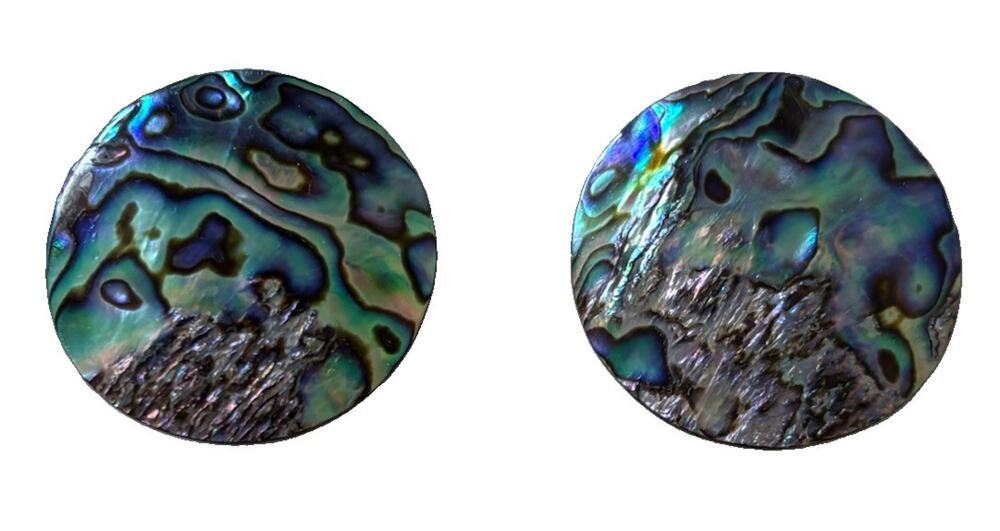 Abalone Shell Clip On Earrings Round Paua Shell Iridescent Blue Green 1.5” Vtg